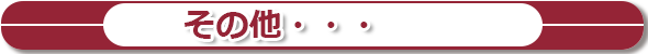 その他・・・