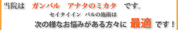 セイタイインバルの施術は次の様なお悩みがある方々に最適です！