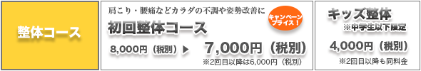整体コース料金