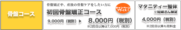 整体コース料金