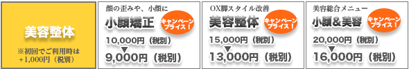 整体コース料金