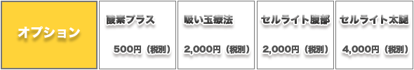 整体コース料金